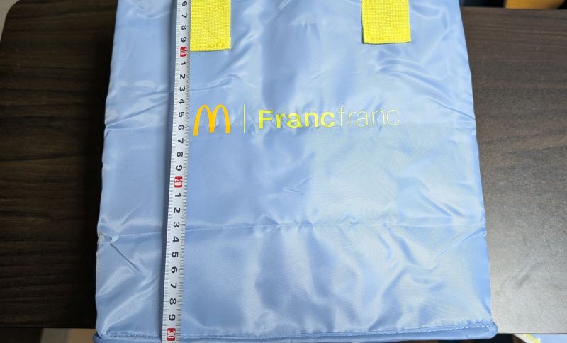 フランフランコラボ保冷バッグ高さ